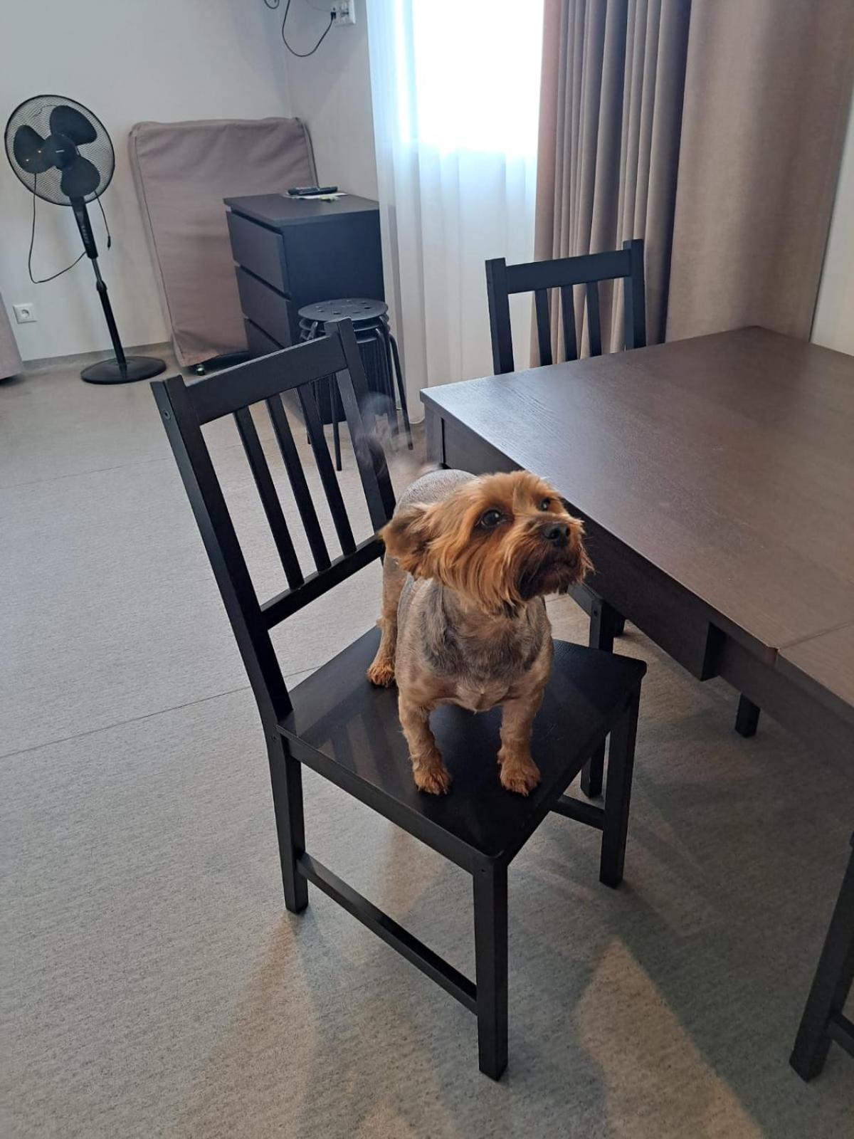 Jaunamuiza Apartamenti Valmiera Buitenkant foto