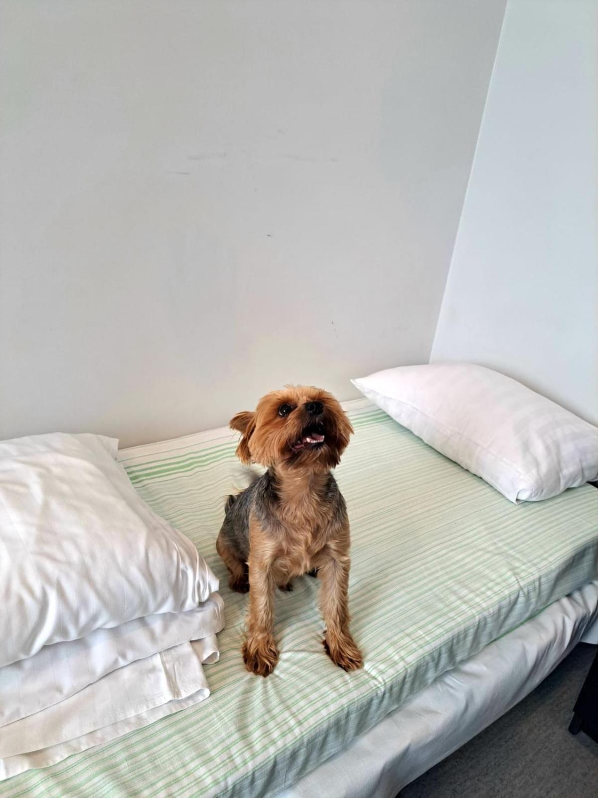 Jaunamuiza Apartamenti Valmiera Buitenkant foto